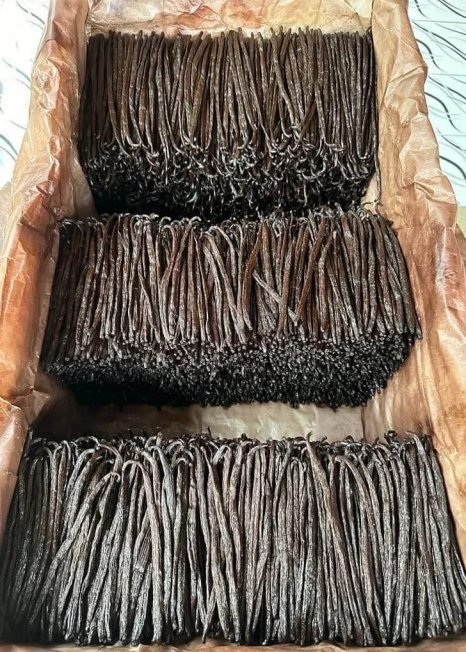 WhatsApp Image 2025-02-14 at 12.57.11_73621380